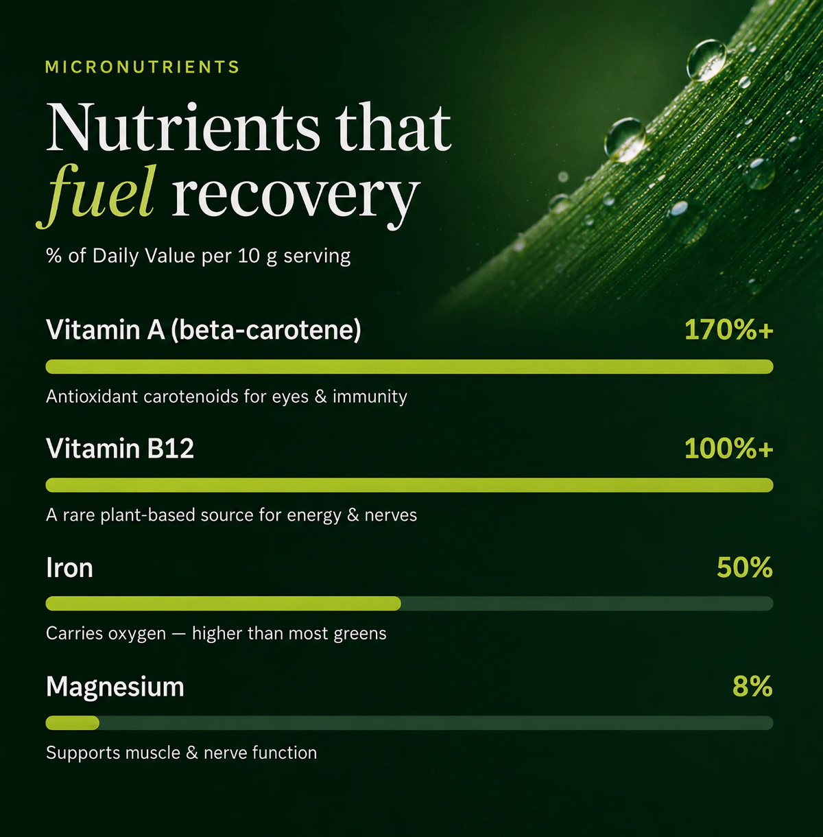 RECOVERYbits