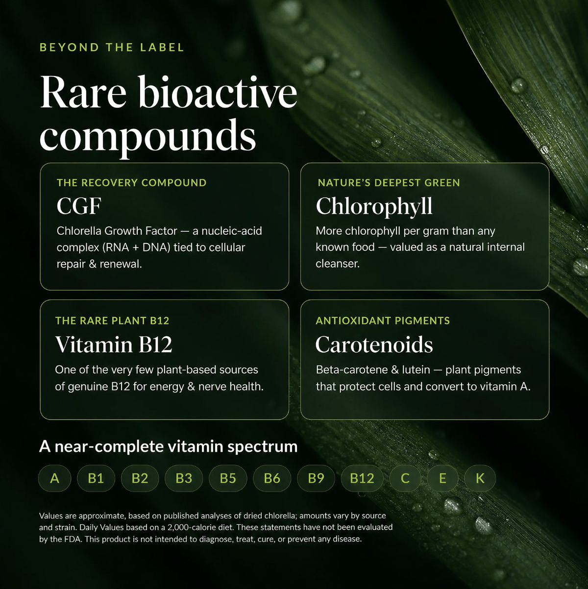 VITALITYbits
