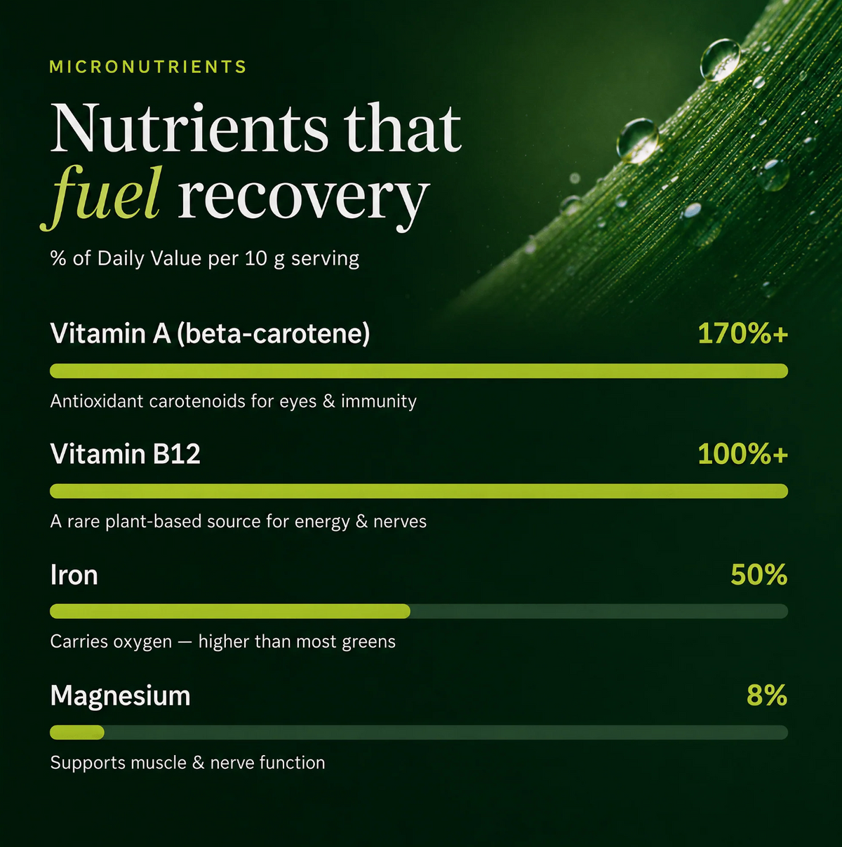 VITALITYbits